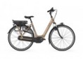 Gazelle Orange C8 HMB